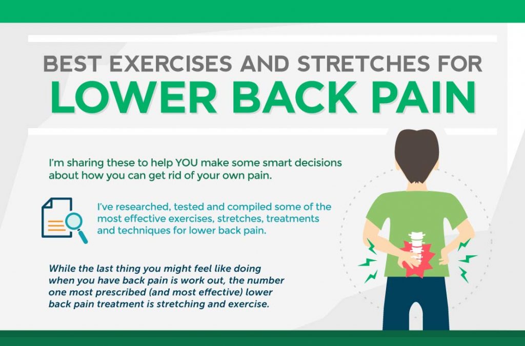 Cropped inforgraphic of best exercises for lower back pain linking to full image